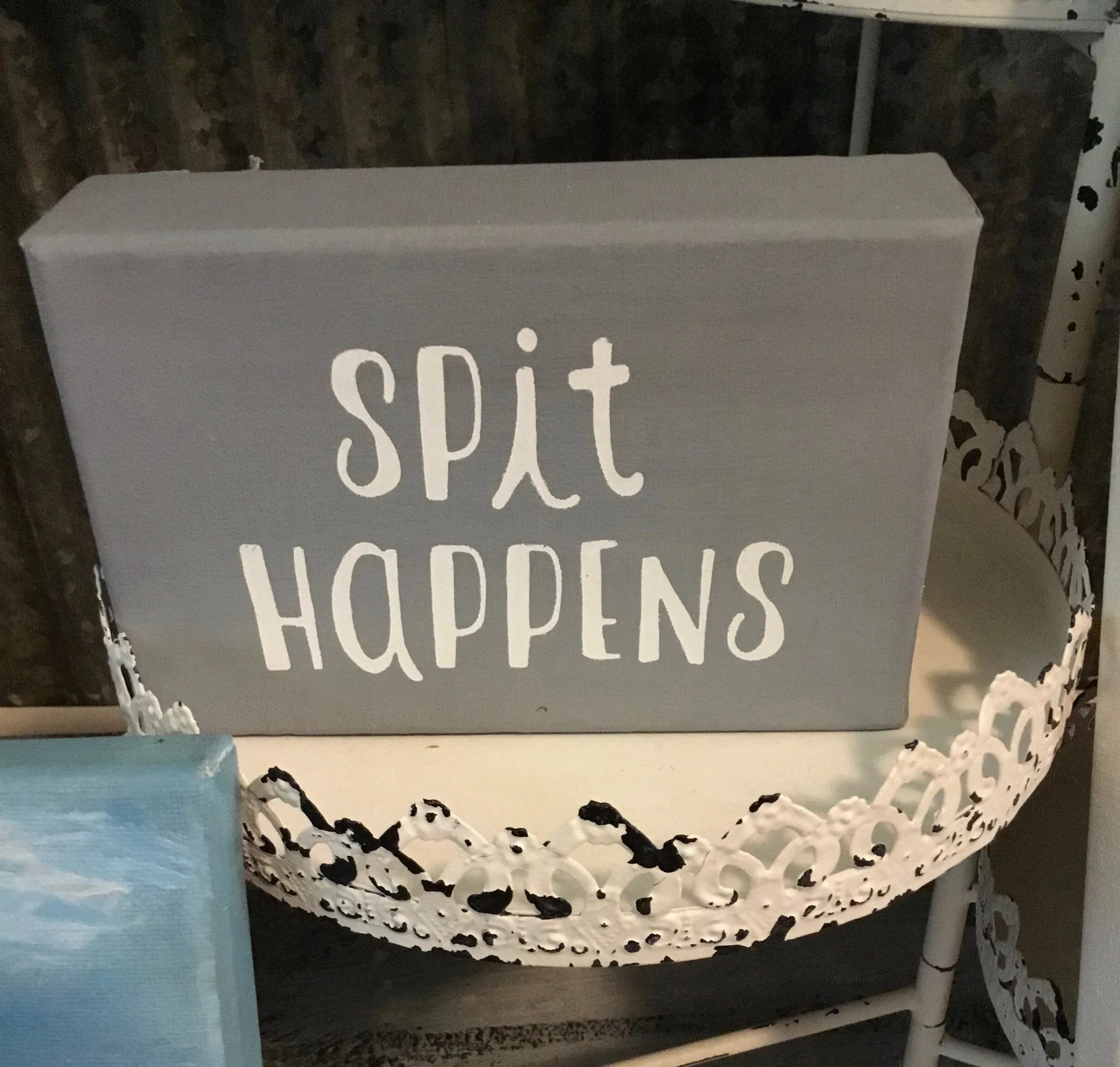 DIY Home Decor - “Spit Happens” Canvas Box Style sign, Gray/White